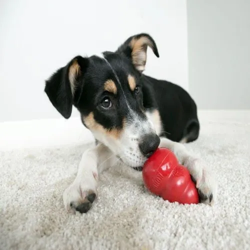 KONG Classic Dog Toy Red Large
