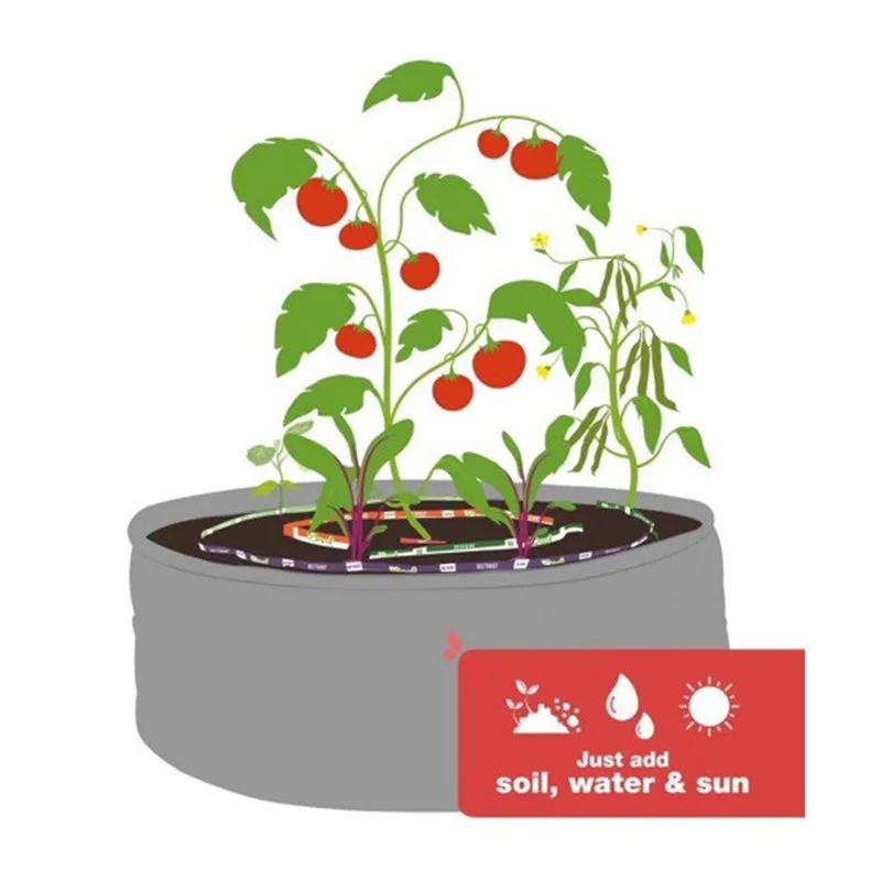 Learn & Grow Kit - Grade 8-9