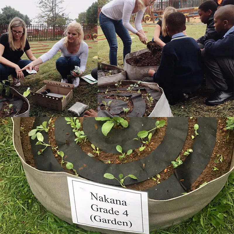 Learn & Grow Kit - Grade 8-9